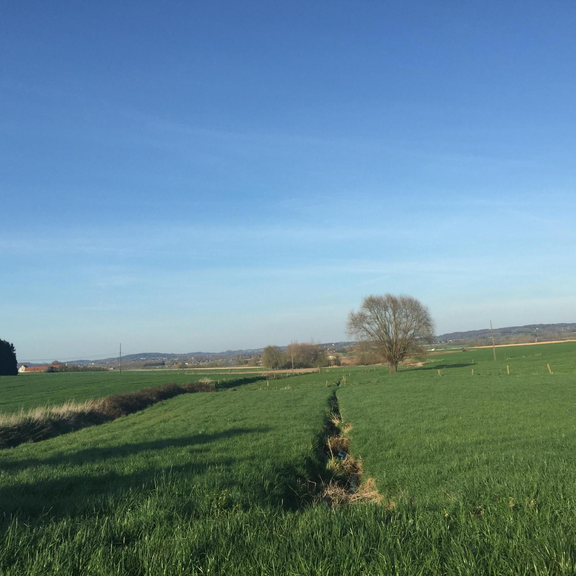 La Maison D'Arc Frasnes-lez-Anvaing Bagian luar foto